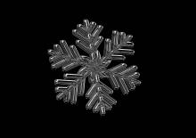 Nos prestations sur le secteur de Saint-André-de-Cubzac 33